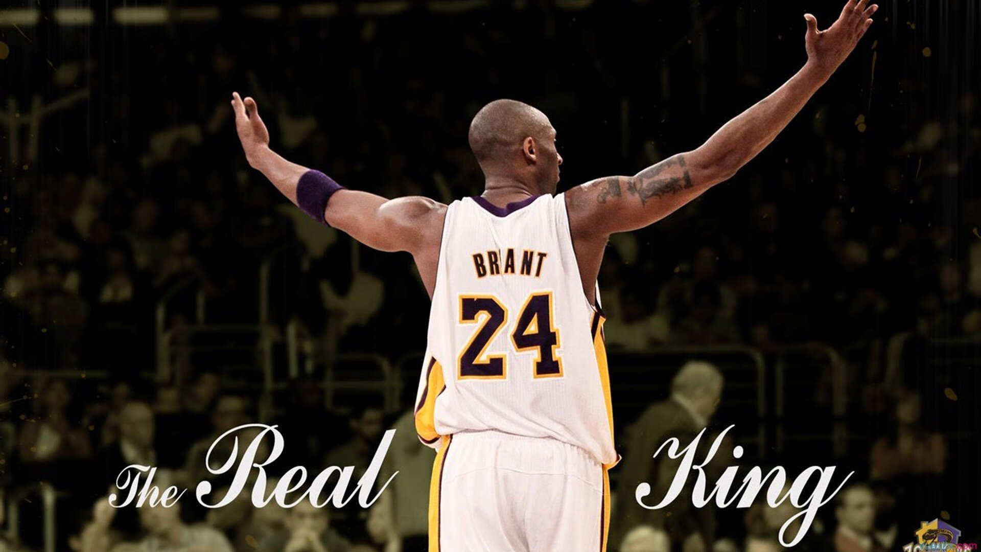 电竞城市巡回赛火爆多地选拔新星，电竞赛程